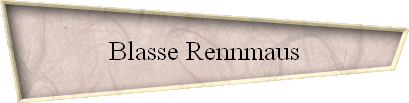 Blasse Rennmaus