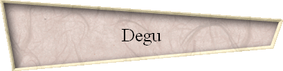 Degu