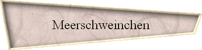 Meerschweinchen